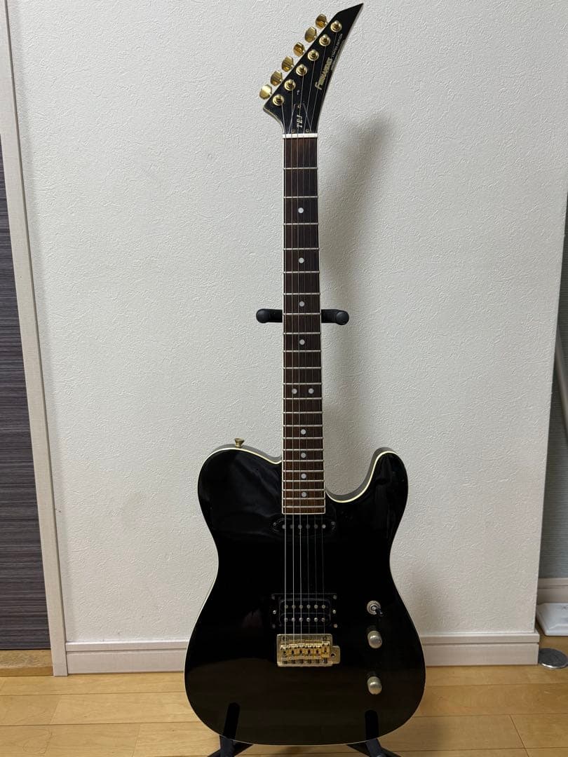 FERNANDES フェルナンデス　TEJ55G 布袋