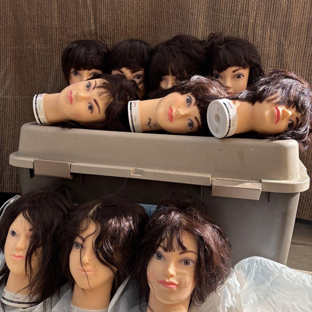 ユーカリージャパン　カットウィッグ国家試験練習用10個セット　値下げあり ユーカリージャパン カットウィッグ国家試験練習用10個セット 値下げ