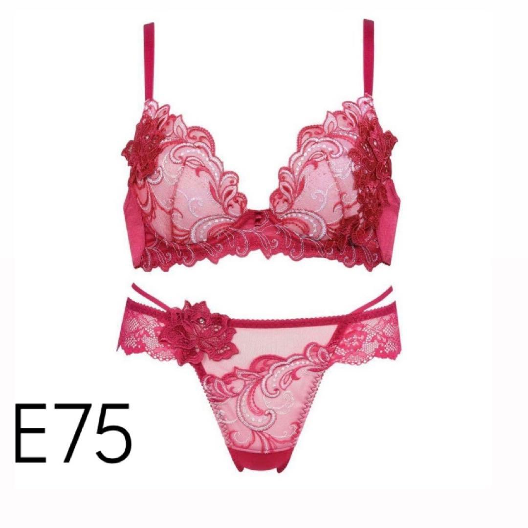 Salute レースブラジャーショーツセット E75 BTJ407 BTJ407