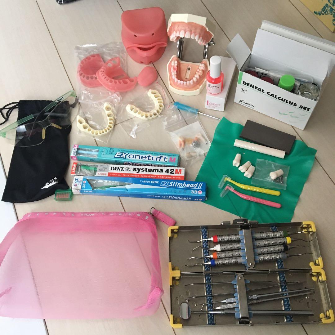 歯科　スケーラー　顎模型