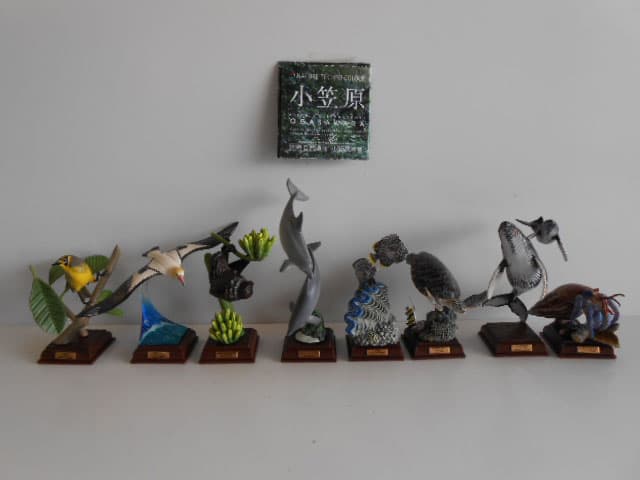 ♯Jti11Ozネイチャーテクニカラー小笠原シークレット入8種