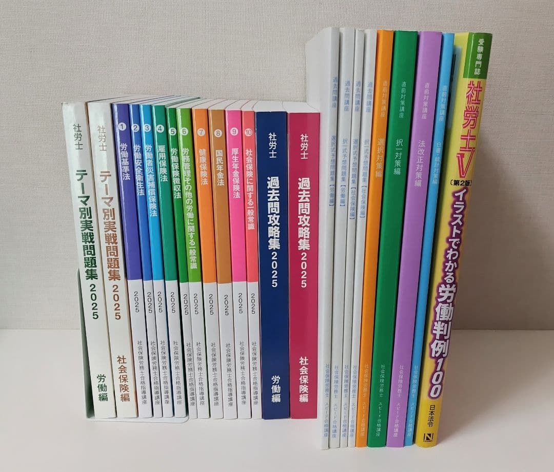 U-CAN 2025年度社会保険労務士テキスト&社労士V労働判例100 第2版他 U-CAN 2025年度社会保険労務士テキスト&社労士V労働判例100 第
