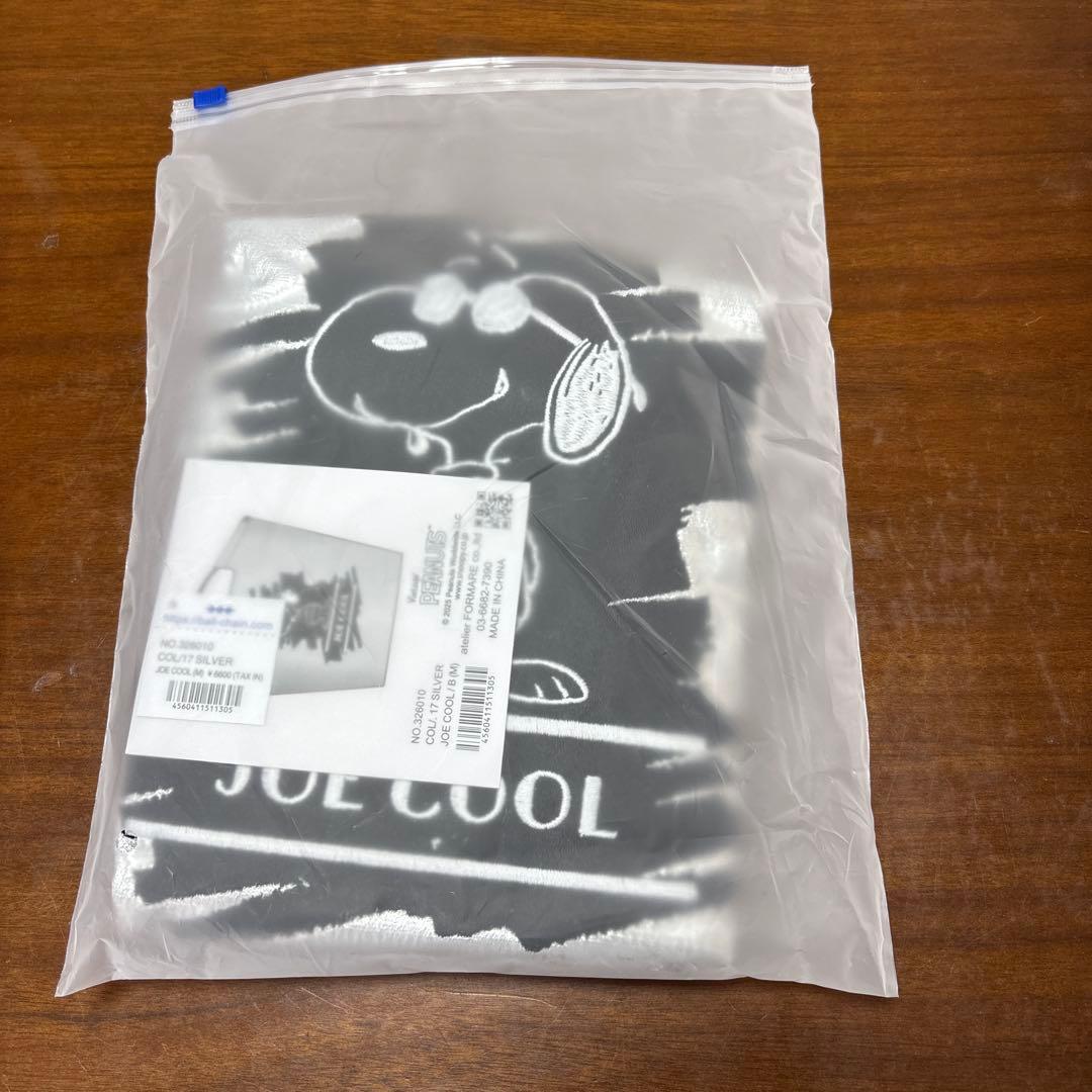 名古屋限定　ボールアンドチェーン　ピーナッツ　スヌーピー　シルバー