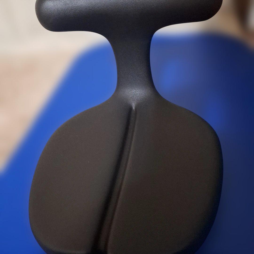 アーユルチェアー メディカルシート ayut medical seat ブラック 楽天市場】公式 骨盤矯正 座椅子 脊柱管狭窄症 床 クッション 腰痛対策