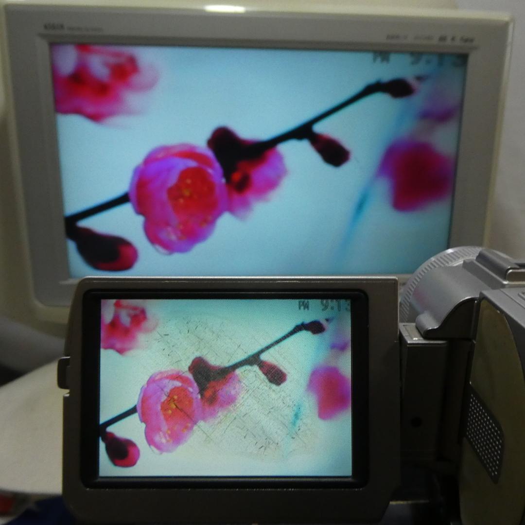 ソニー DCR-TRV20 【動作良好】MiniDVビデオカメラ ダビングに最適