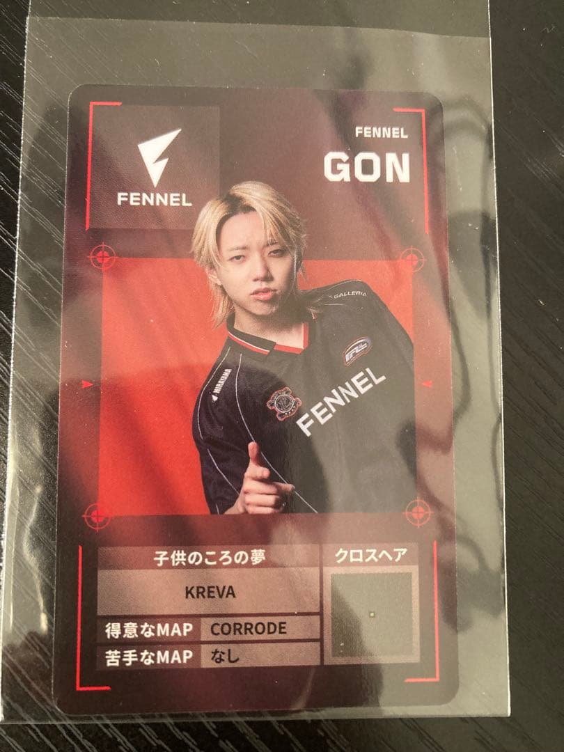vcjプレイヤーカード　GON FENNELチームカード　ホロ