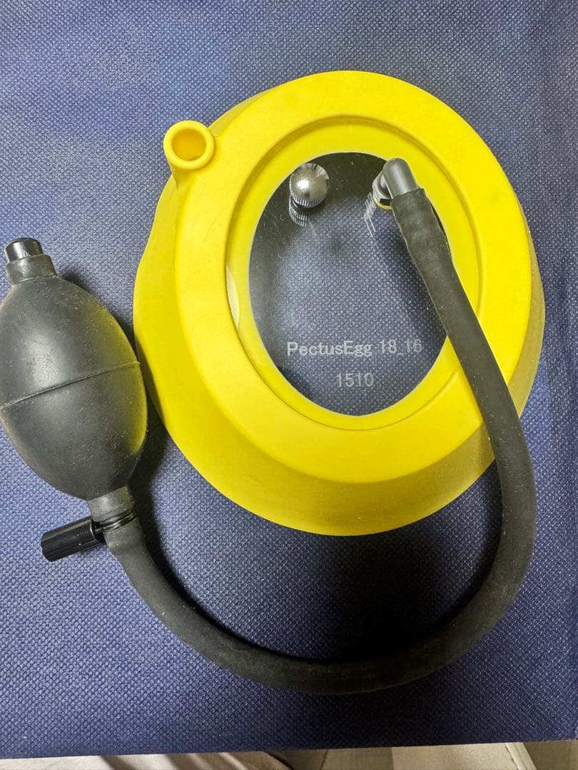 ペクタスエッグ