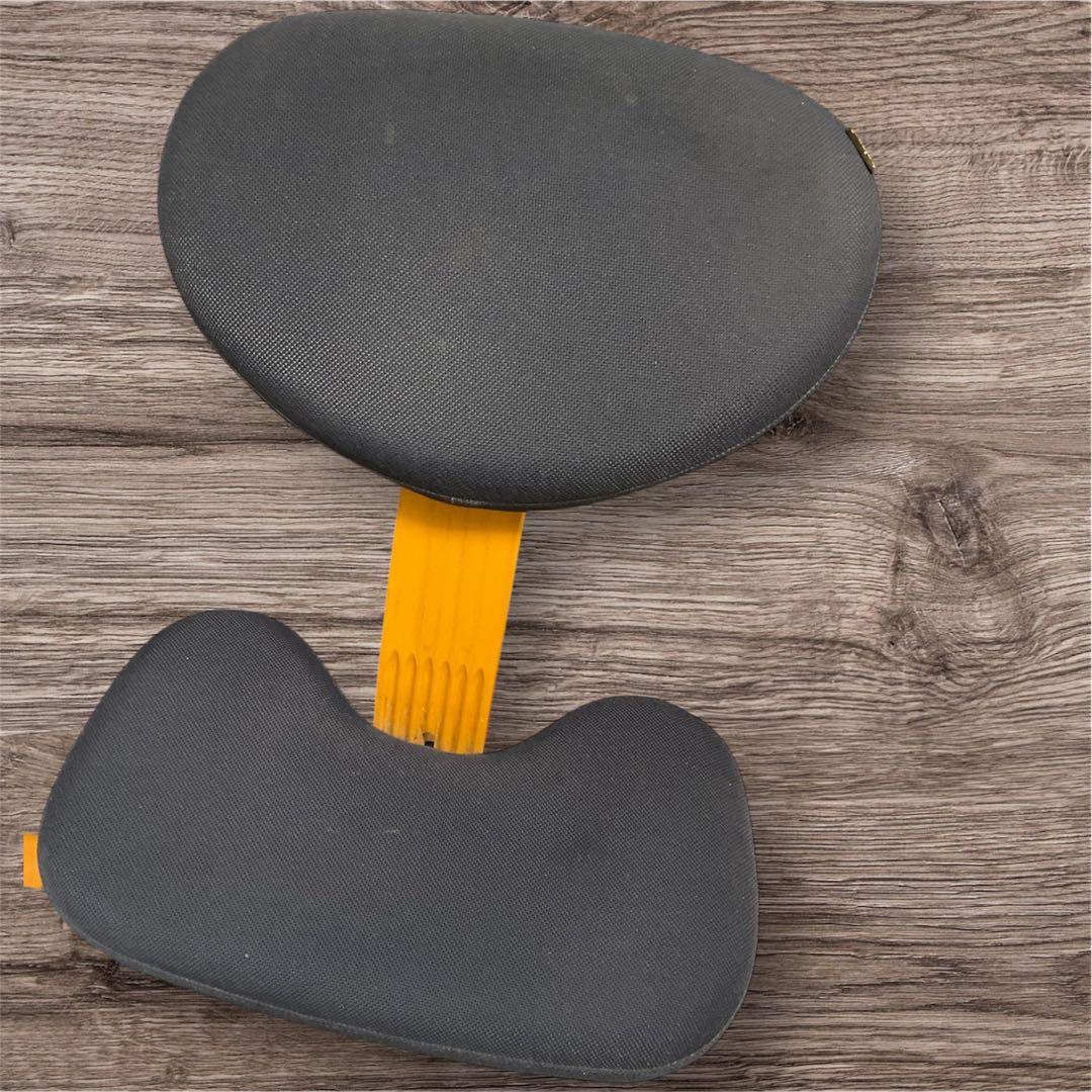 バランスチェア イージー　サカモトハウス