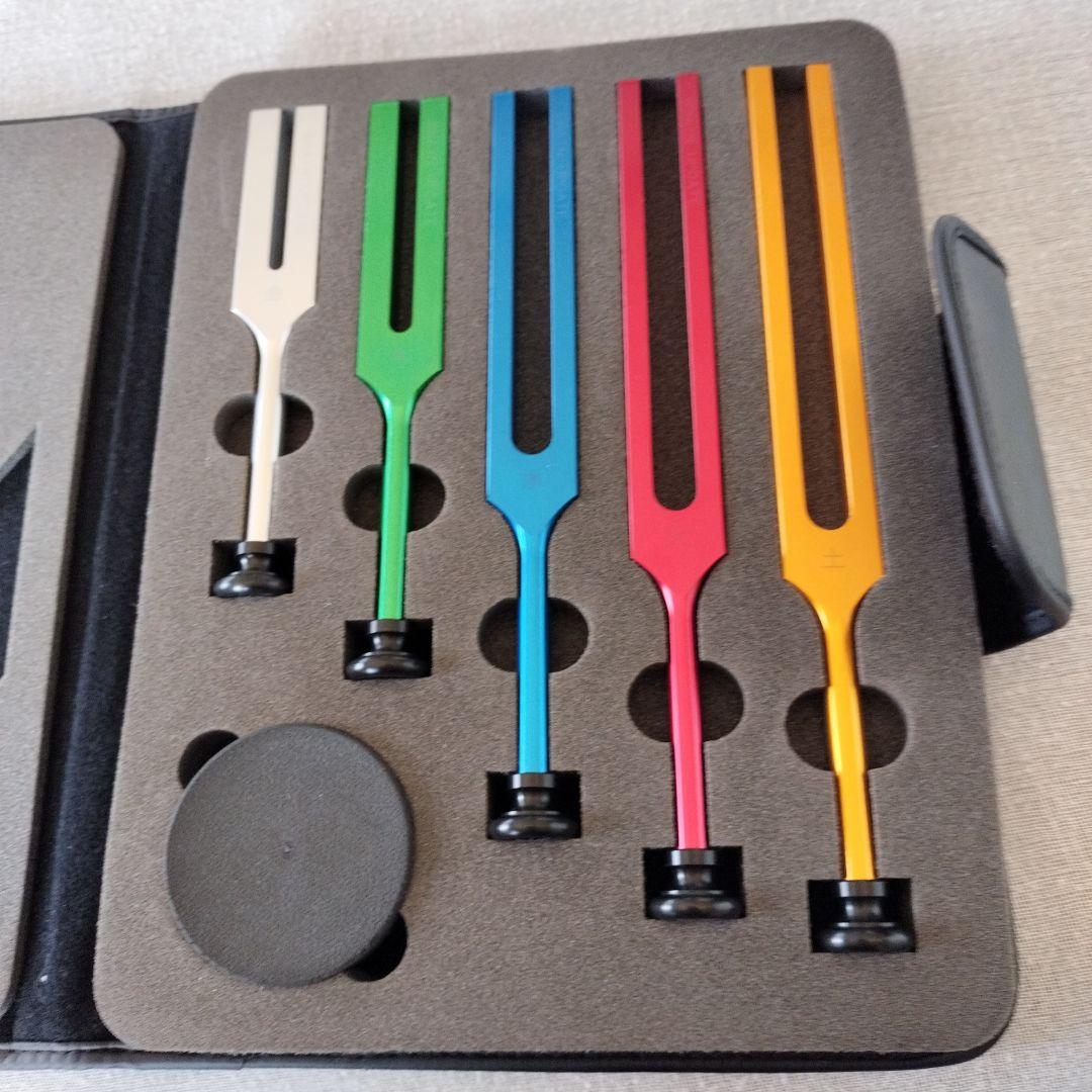 五行音叉　ブレインアップデート　ニチオン 音叉 ニチオン 五行音叉 ブレインアップデート テキスト付 国産 新品未