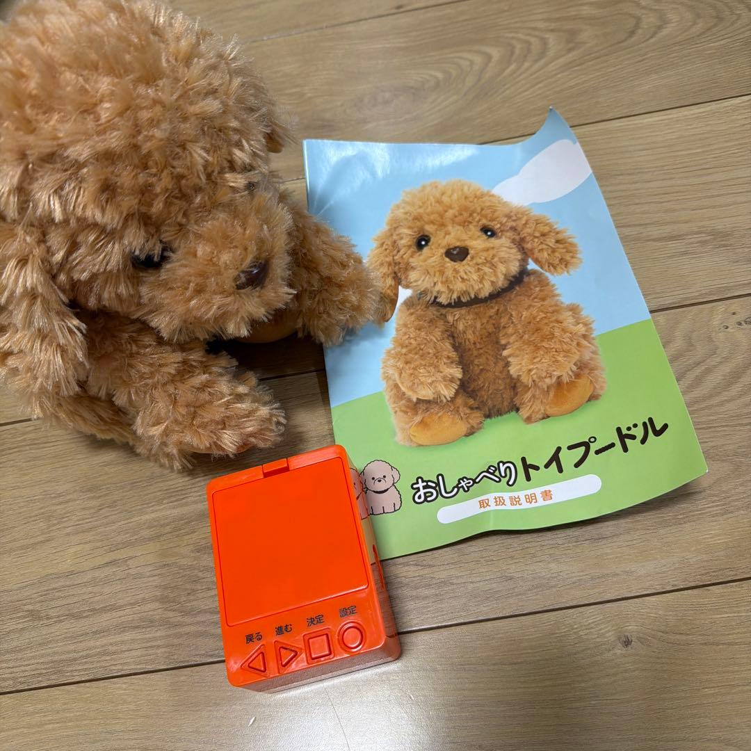 おしゃべりトイプードル 美品