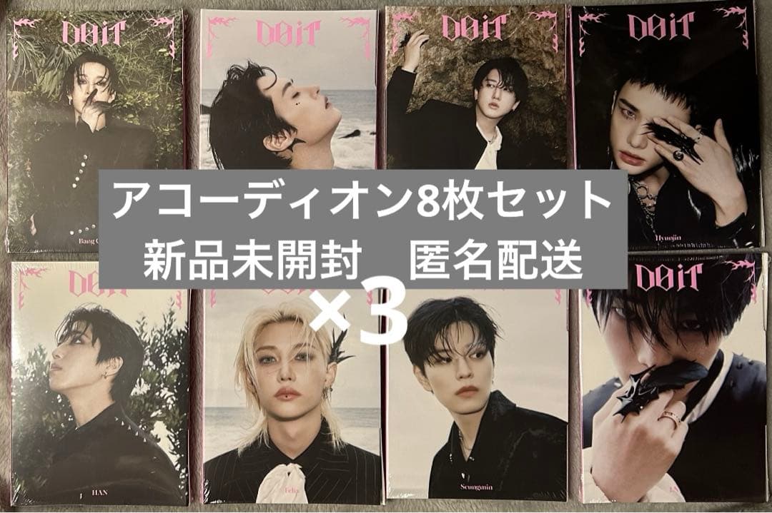 Straykids スキズ DOIT アコーディオン 8枚　accordion