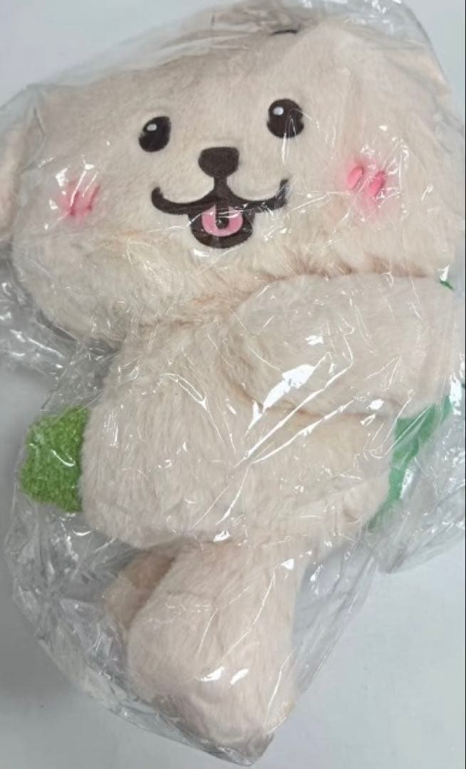 NCTWISH ジェヒ キャラクターバッグ