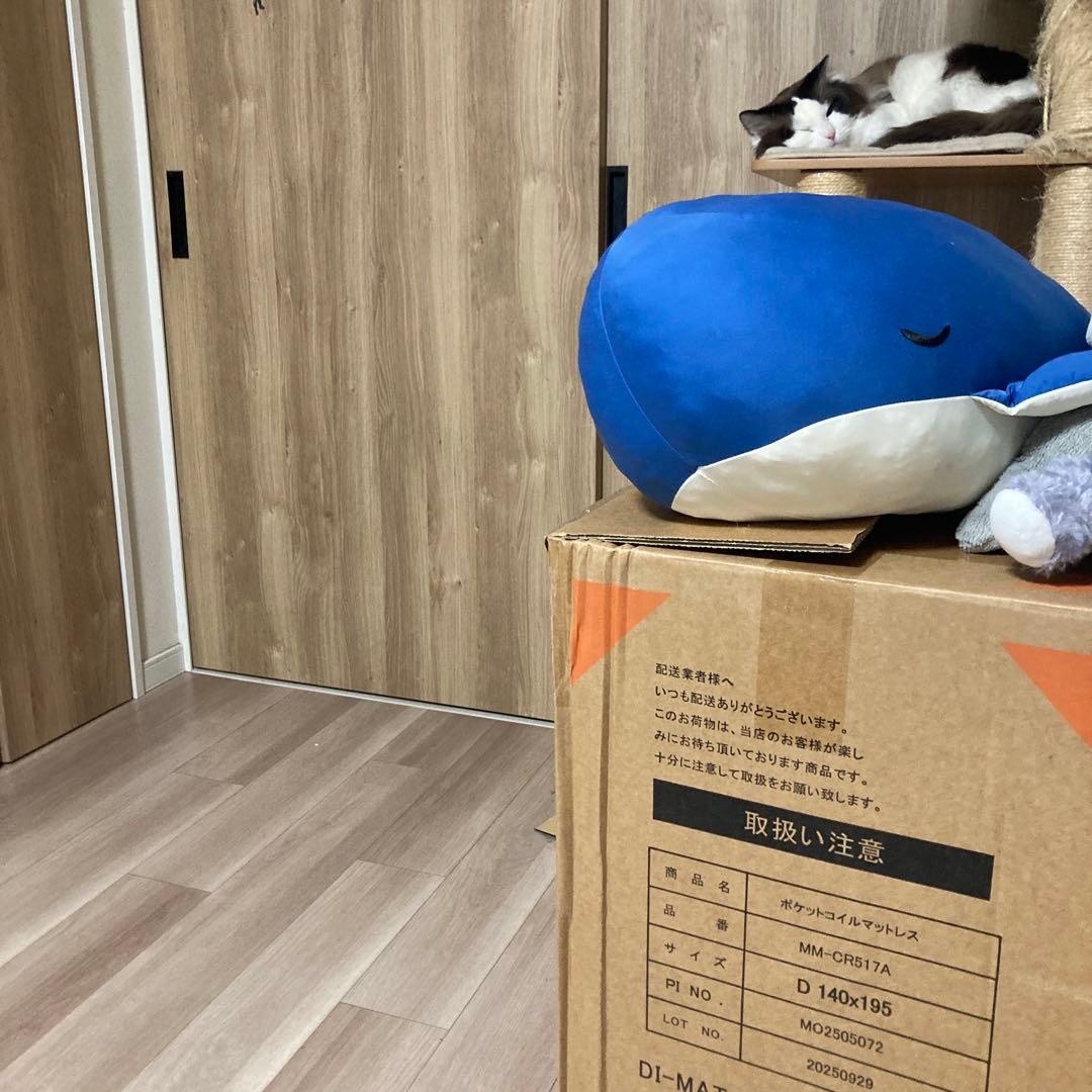 クジラのぬいぐるみ 140x195mm