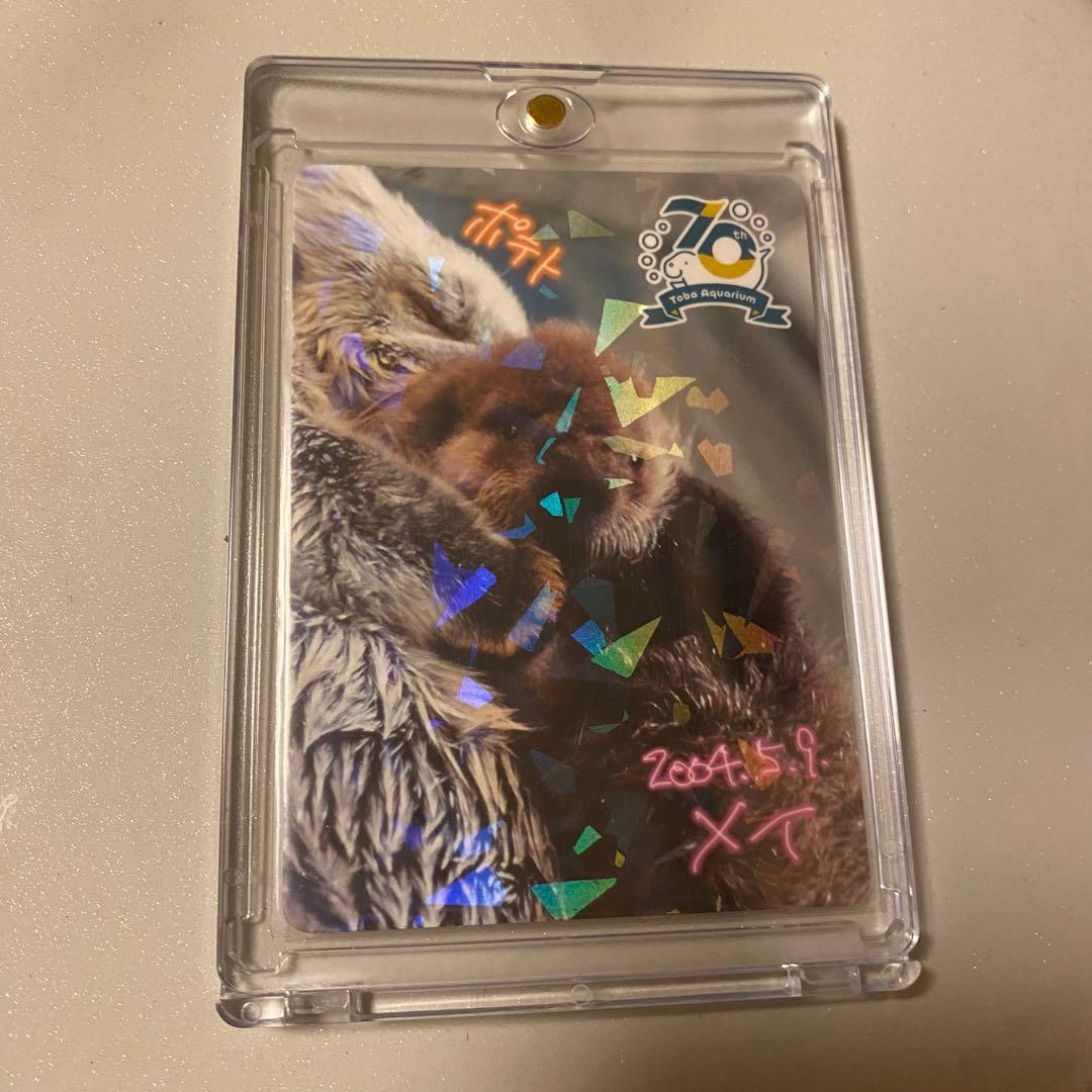 鳥羽水族館　コレクションカード　メイ ラッコのメイとキラだけじゃない！ レア含め全81種、鳥羽水族館が