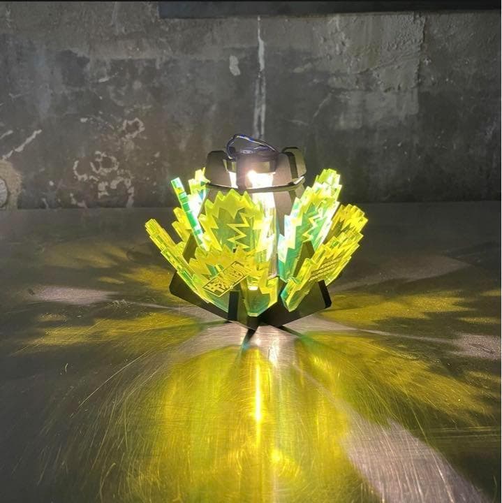 白鯨灯火 限定アイテム 牛乳植物× KYUSHU PLANTS SHOWCASE ミルクブッシュ Milk Bush #糸島#糸島カフェ#福岡#福岡カフェ#観葉植物