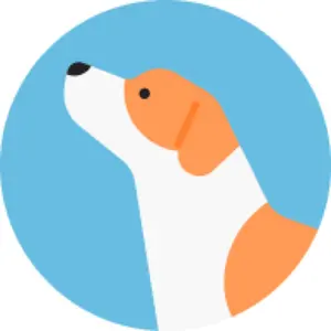 木枠・パネル・張キャンバス使用済み 未使用 油絵・アクリル画・釘付き